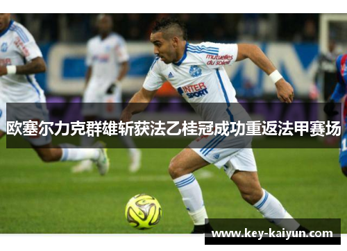 欧塞尔力克群雄斩获法乙桂冠成功重返法甲赛场 欧塞尔力克群雄斩获法乙桂冠成功重返法甲赛场