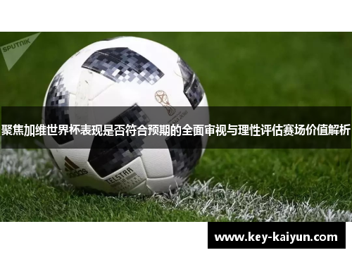 聚焦加维世界杯表现是否符合预期的全面审视与理性评估赛场价值解析